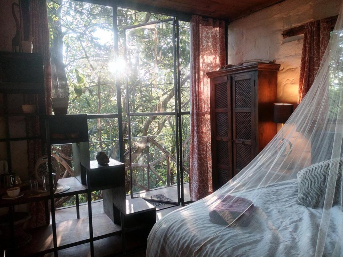Yolitia Wellness Bed & Breakfast Malinalco Bagian luar foto
