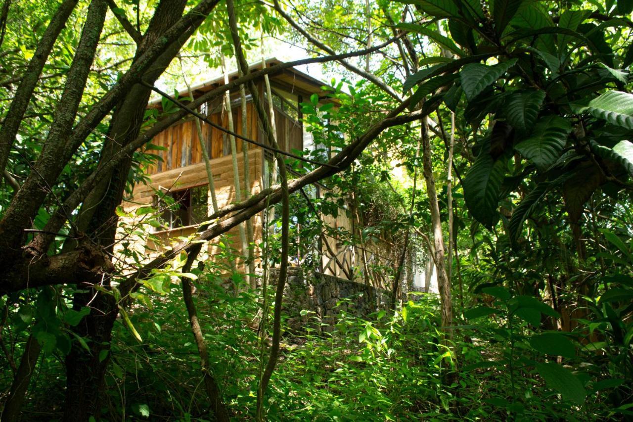 Yolitia Wellness Bed & Breakfast Malinalco Bagian luar foto