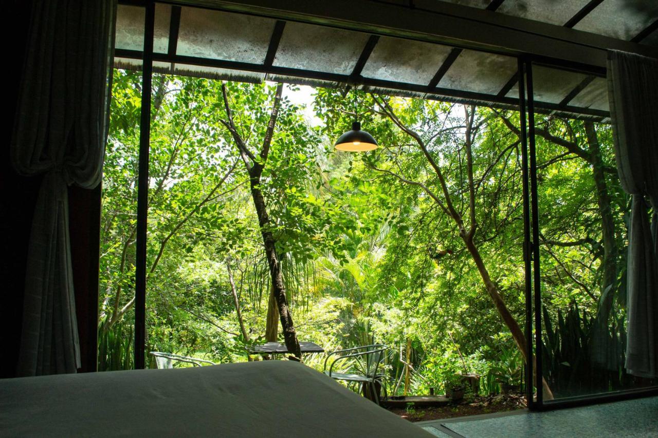Yolitia Wellness Bed & Breakfast Malinalco Bagian luar foto