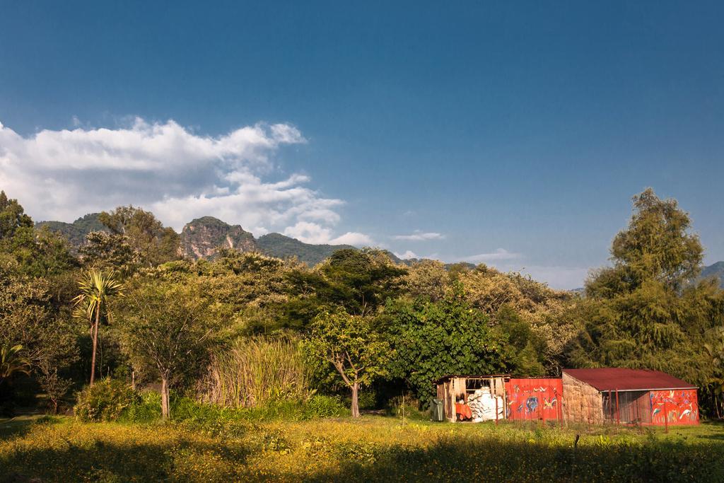 Yolitia Wellness Bed & Breakfast Malinalco Bagian luar foto