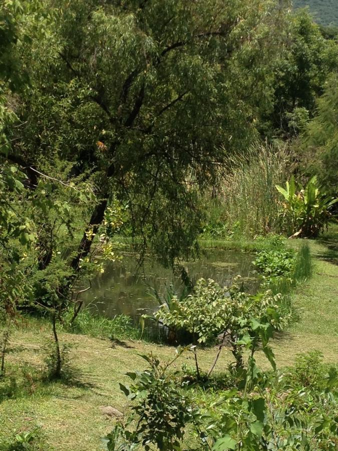 Yolitia Wellness Bed & Breakfast Malinalco Bagian luar foto